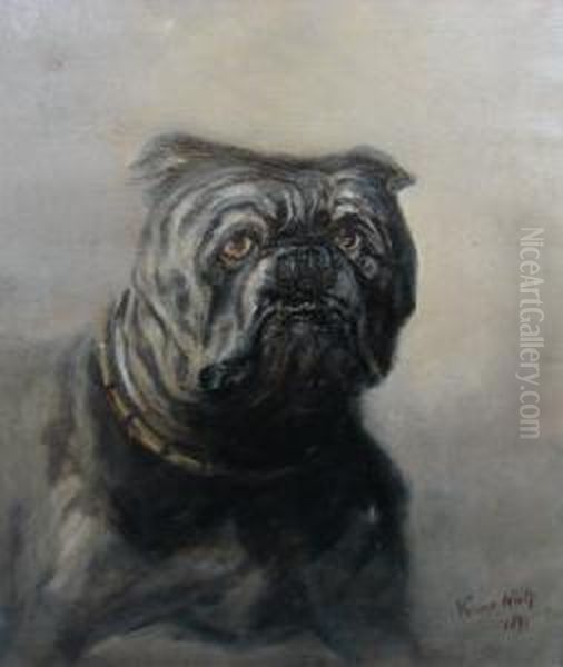 Portrait Of A Bulldog Oil Painting by Verner White