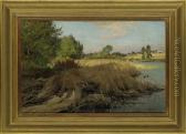 Ducks On A Reedy River Bank Oil Painting by Frederick William N. Whitehead