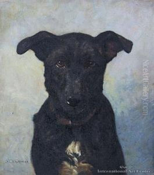 Dog Study Oil Painting by Vera Whiteman