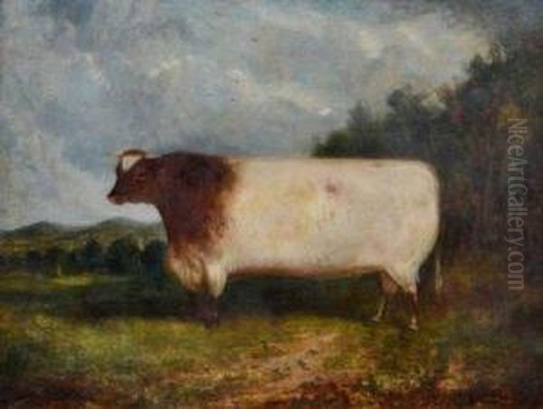 Prize Bull In Extensive Landscape With Town And Hills Beyond Oil Painting by P. Whitford