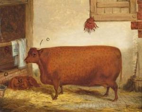 Prize Cow And Calf In Astable Oil Painting by Richard Whitford