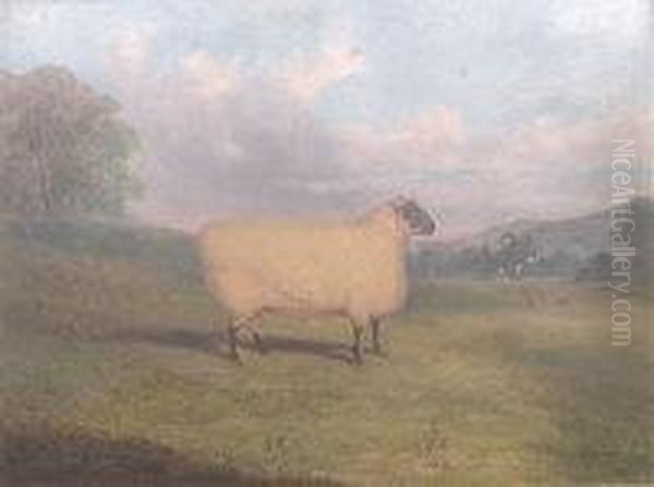 A Prize Sheep Oil Painting by Richard Whitford