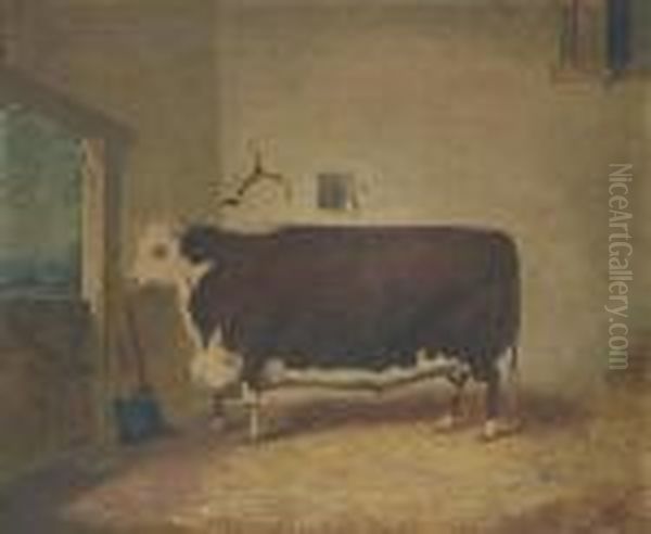 A Prize Cow In A Barn Oil Painting by Richard Whitford