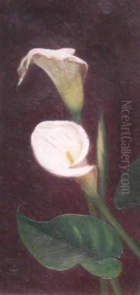 Calla Lilies Oil Painting by Sarah Whitman