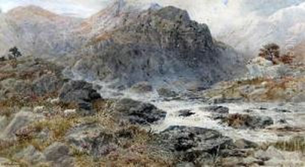 Mountain Stream, North Wales Oil Painting by James William Whittaker