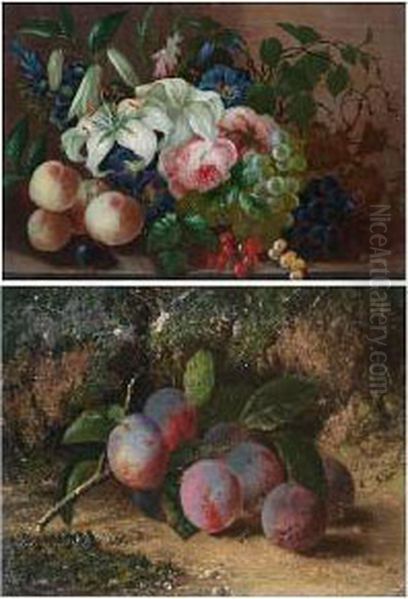 Still Life Of Plums On A Mossy Bank Oil Painting by Thomas Whittle