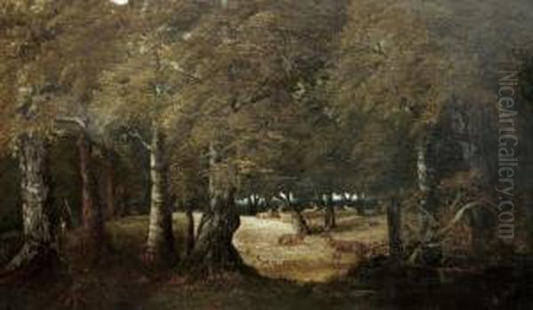 Woodland Clearing With A Herd Of Deer Oil Painting by Thomas Ii Whittle