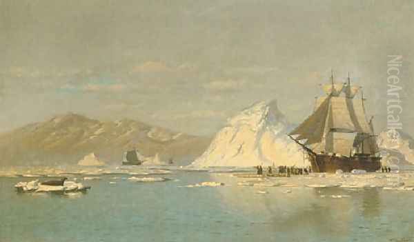 Off Greenland Whaler Seeking Open Water Oil Painting by William Bradford