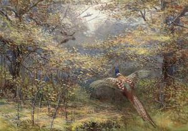 Pheasants In Flight Oil Painting by Charles Whymper