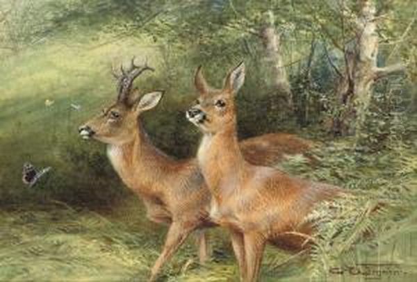 Roebuck Oil Painting by Charles Whymper