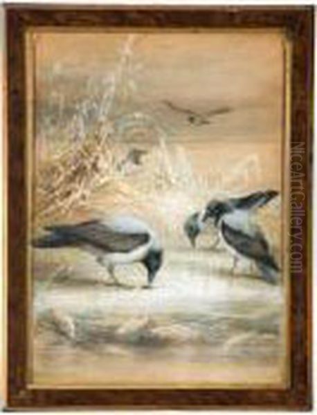 Shorebirds Oil Painting by Charles Whymper