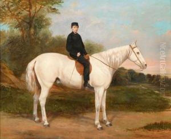 Rider On White Horse Oil Painting by Richard Dodd Widdas