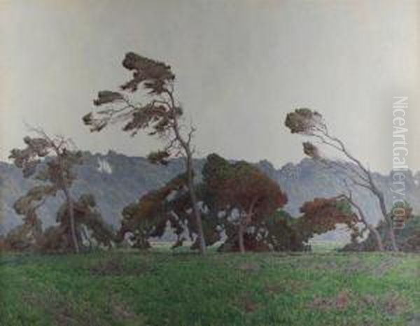 Pines At Monterey Oil Painting by Gunnar M. Widforss