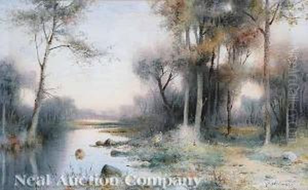 Florida Swamp Oil Painting by James Ralph Wilcox