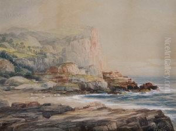 The Giant's Causeway, Co. Antrim Oil Painting by Robert D. Wilkie