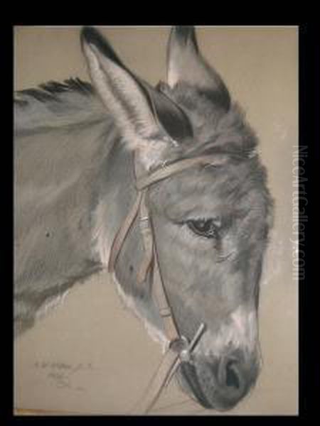 Head Of A Donkey Oil Painting by Francis William Wilkin