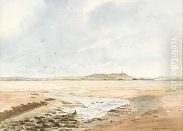 Scrabo Across Strangford Lough Oil Painting by John B. Wilkinson