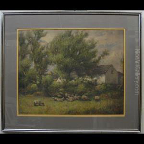 Sheep At Rest Oil Painting by W.H. Wilkinson