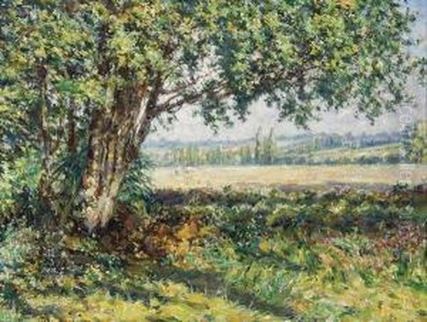 Vue De Mon Jardin Oil Painting by Ferdinand Willaert