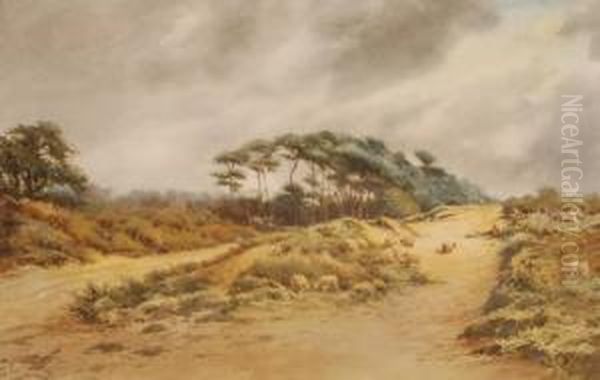 Sheep On Chorleycommon Oil Painting by Norris Fowler Willatt