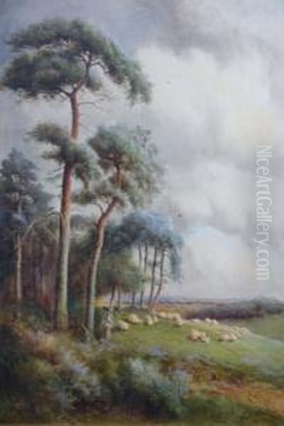 A Surrey Common - Shepherd & Sheep Oil Painting by Norris Fowler Willatt