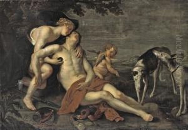 Venus Mourning The Death Of Adonis Oil Painting by Thomas Willeboirts Bosschaert