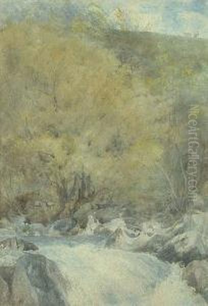 Rushing Stream Oil Painting by Daniel Alexander Williamson