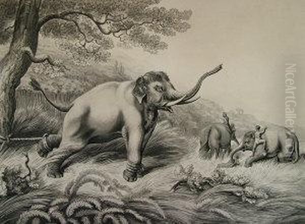 Decoy Elephants Leaving Themale Fastened To A Tree Oil Painting by Samuel Howitt And Captain Thomas Williamson