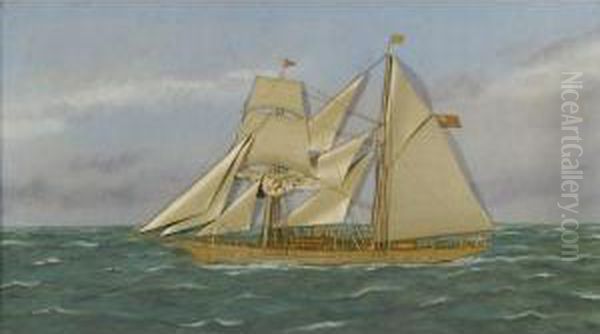 A Schooner In Open Seas Oil Painting by Thomas Willis