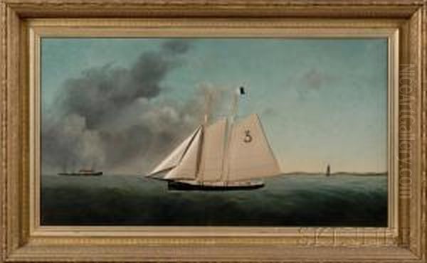 Diorama Portrait Of The Pilot Boat Oil Painting by Thomas Willis