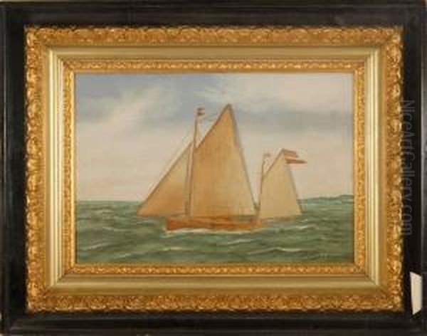 The Yacht Oil Painting by Thomas Willis