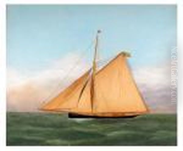 American Clipper Ship Oil Painting by Thomas Willis