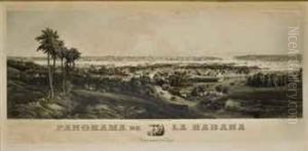 Panorama De La Habana, Vista Tomada Desde Regla Oil Painting by Edouard Willmann