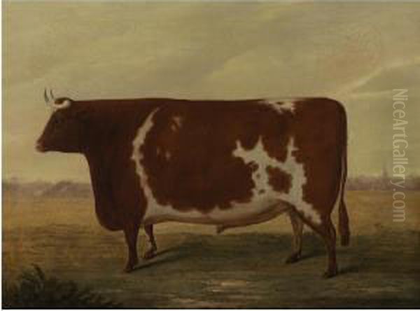 The Improved Lincolnshire Ox - Durham Cross, Smithfield 1832 Oil Painting by William Willoughby