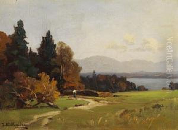 Blick Auf Den Starnberger See Oil Painting by Josef Willroider