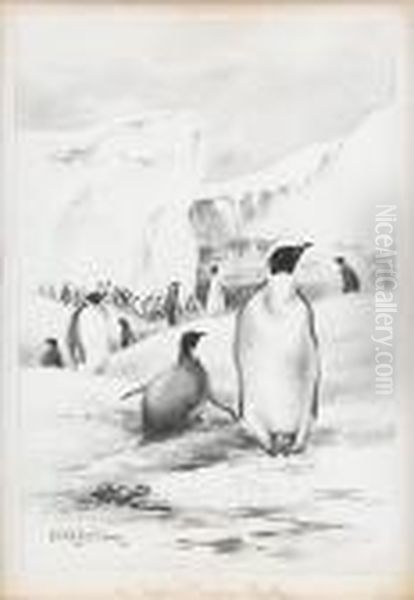 An Empire Penguin Rookery Oil Painting by Edward Adrian Wilson