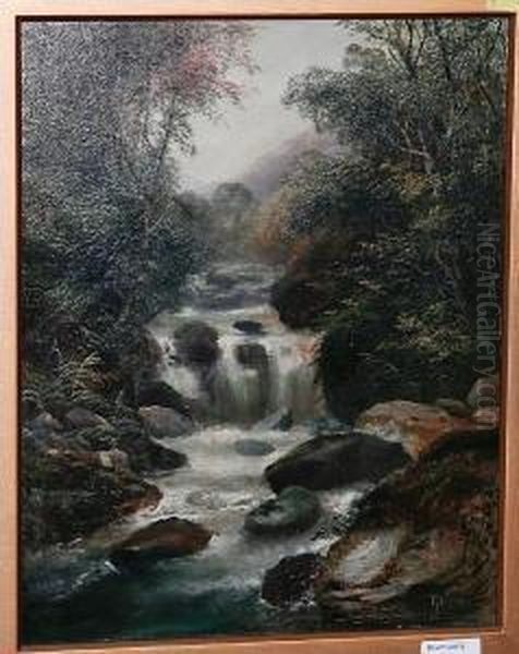 Waterfall. Oil Painting by R. Wilson