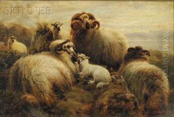 Flock Of Sheep On A Hillside. by Robert Burns Wilson