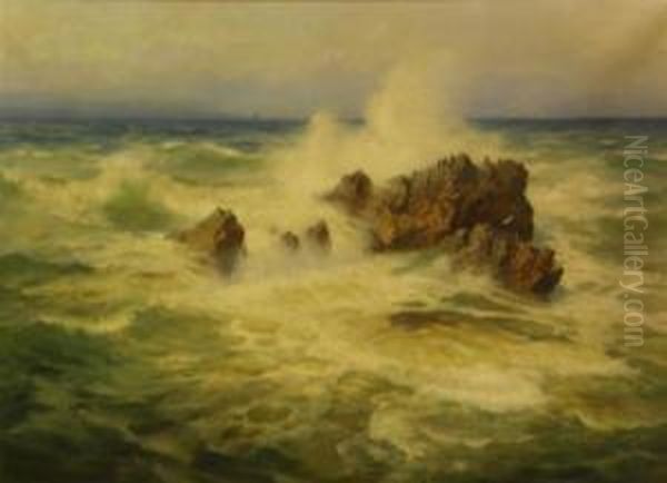 Cormerants Perched On A Rock In A Roughsea Oil Painting by Henry B. Wimbush