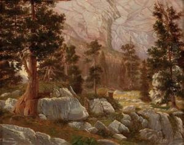 Fohren Im Hochgebirge Oil Painting by Conrad Wimmer