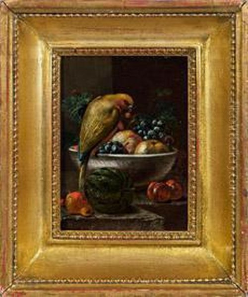 Fruchtestillleben Mitpapagei Oil Painting by Johann Amandus Winck