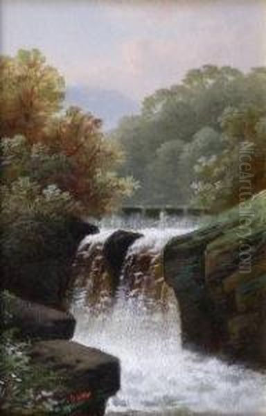 Fall Of Foyers Oil Painting by David Horatio Winder