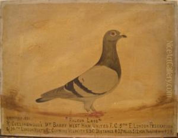 Pigeon Portrait by Edward Henry Windred