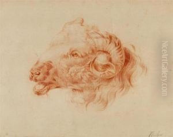 Ram's Head. Oil Painting by Franz Joseph Winter