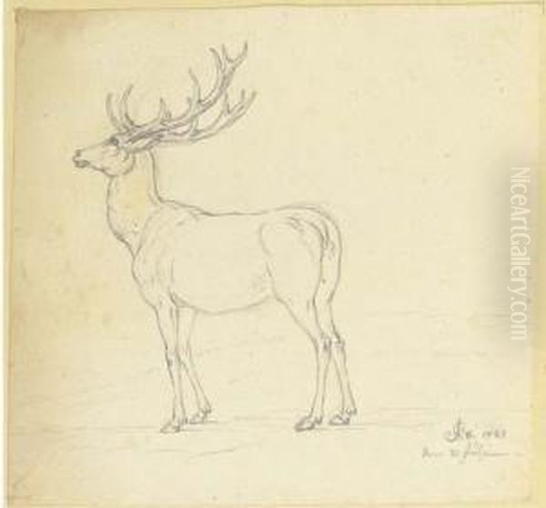 A Stag In Profile To The Left Oil Painting by Joseph Georg Winter