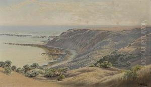 Duxbury Reef, Marin County Oil Painting by Jack Wisby