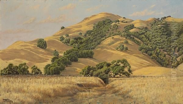 Marin Hills Oil Painting by Jack Wisby