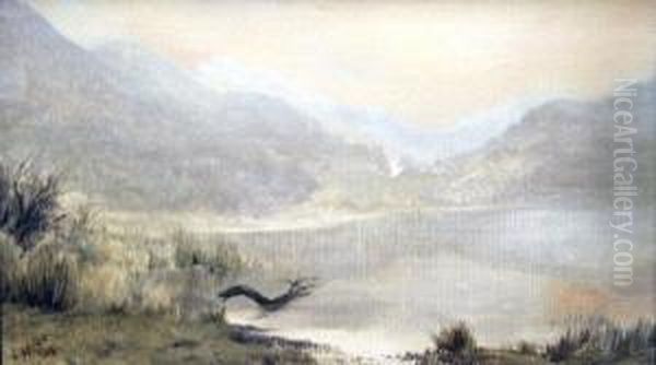 Misty Morning, Bolinas Lagoon Oil Painting by Jack Wisby