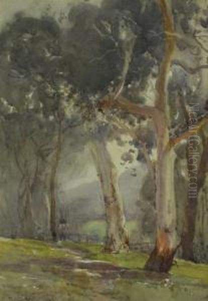 Untitled - Snowgums Oil Painting by Walter Withers