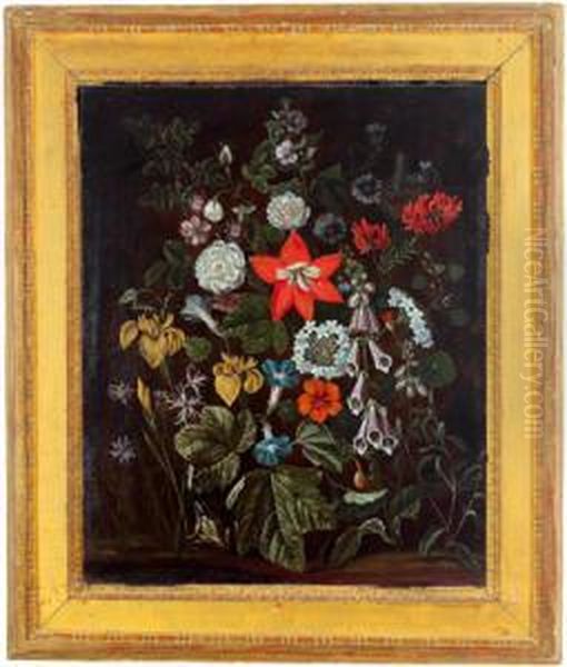 Un Mazzo Di Fiori Con Una Rana Oil Painting by Alida Withoos